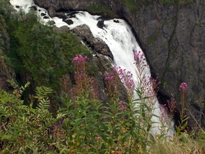 noorwegen 365