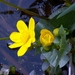PICT0302