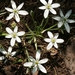 PICT0322