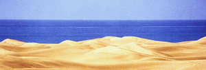 Playa de L'Ingles