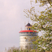 Tielt