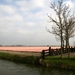 bollen 020