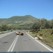 lesbos - schapen over de weg