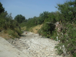 lesbos - uitgedroogde rivier