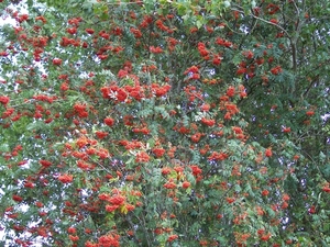 103