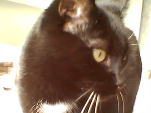 anna en sanne jan 07006