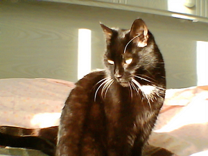 anna en sanne jan 07018