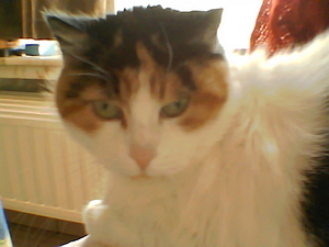 anna en sanne jan 07027