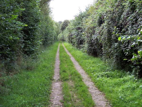 35
