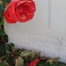 DSC4527-Artillery Wood Cemetery-Graf van Welshe dichter Hedd Wyn-