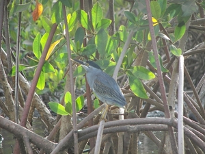 GAMBIA 2007 454