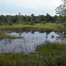 Natuur