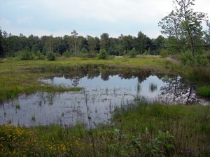Natuur
