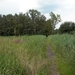 Olens broek