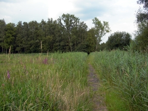 Olens broek