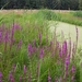 Olens broek