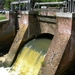 Aan de watermolen Grobbendonk