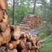 Natuurbeheer ?