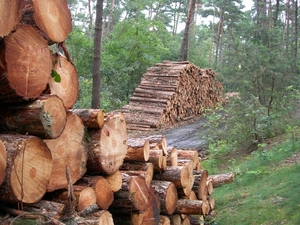 Natuurbeheer ?