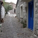 Sykamenia