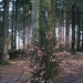 Wandeling Ternell