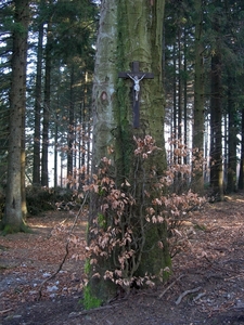 Wandeling Ternell