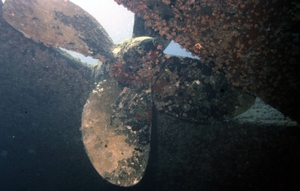 Hilma Hooker