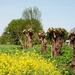 Springtime