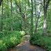 Park Hoge Kempen