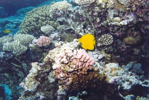 Hurghada