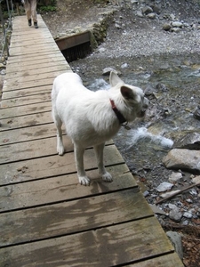 20080919 013 Oberstdorf Rappenseehut