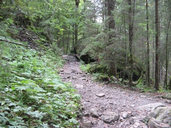 20080919 017 Oberstdorf Rappenseehut