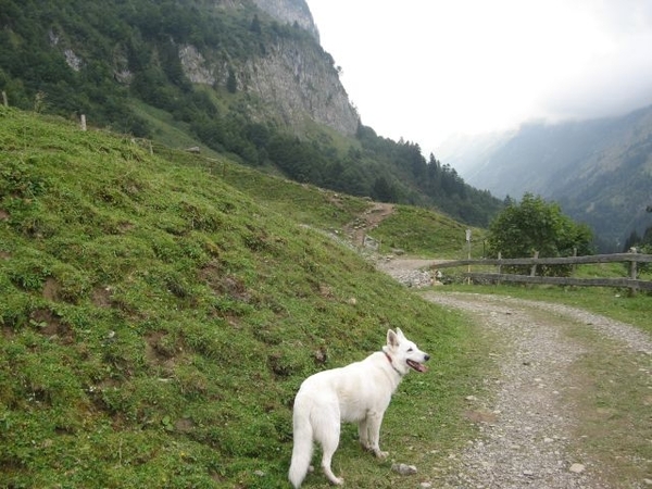 20080919 043 Oberstdorf Rappenseehut