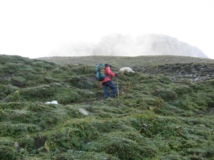 20080920 097 HeilbronnerWeg