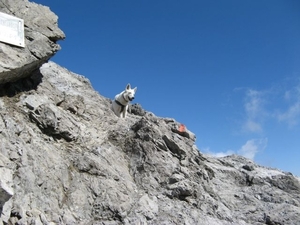 20080920 257 HeilbronnerWeg