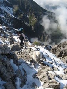 20080920 272 HeilbronnerWeg