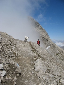 20080920 290 HeilbronnerWeg