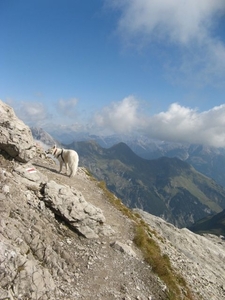 20080920 295 HeilbronnerWeg