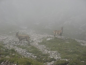 20080920 330 HeilbronnerWeg