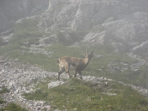 20080920 335 HeilbronnerWeg