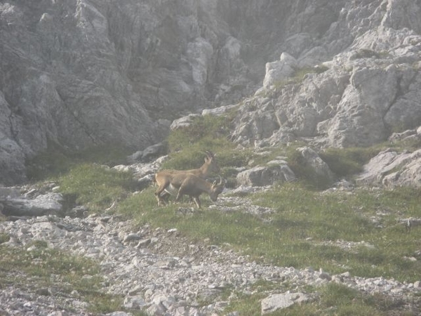 20080920 337 HeilbronnerWeg