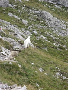 20080921 371 Muttlerkopf