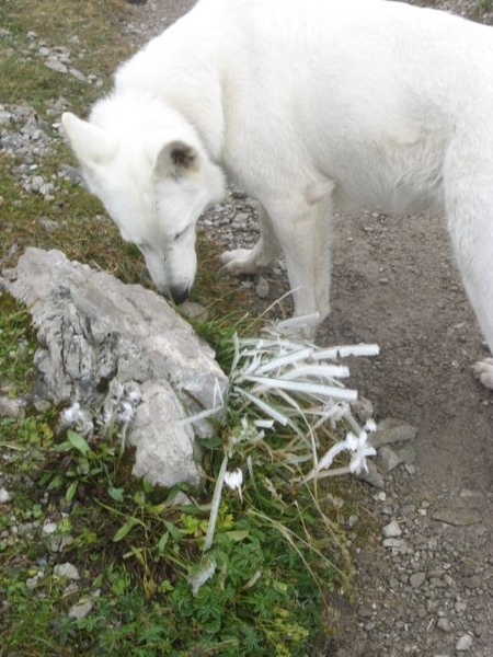 20080921 404 Muttlerkopf