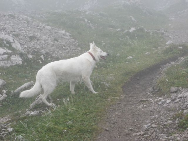 20080921 405 Muttlerkopf