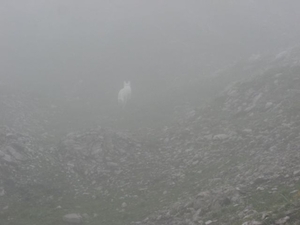 20080921 407 Muttlerkopf