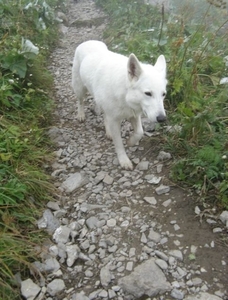 20080921 411 afdaling Oberstdorf