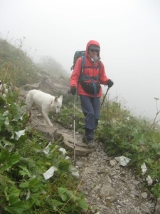 20080921 413 afdaling Oberstdorf