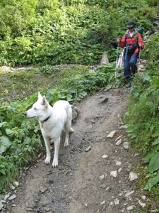 20080921 461 afdaling Oberstdorf