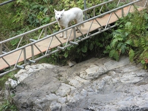 20080921 468 afdaling Oberstdorf