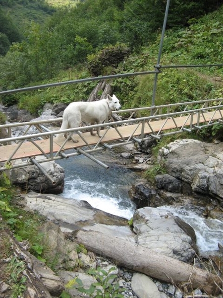 20080921 469 afdaling Oberstdorf